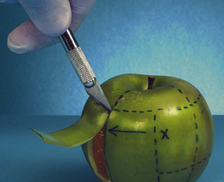 激活码代理的在线电话轰炸云呼死你